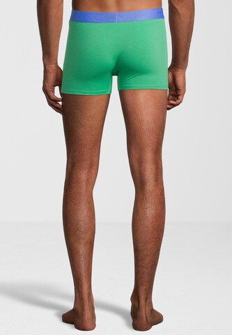 Boxer di U.S. POLO ASSN. in verde