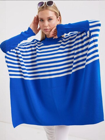 Bigdart Trui in Blauw