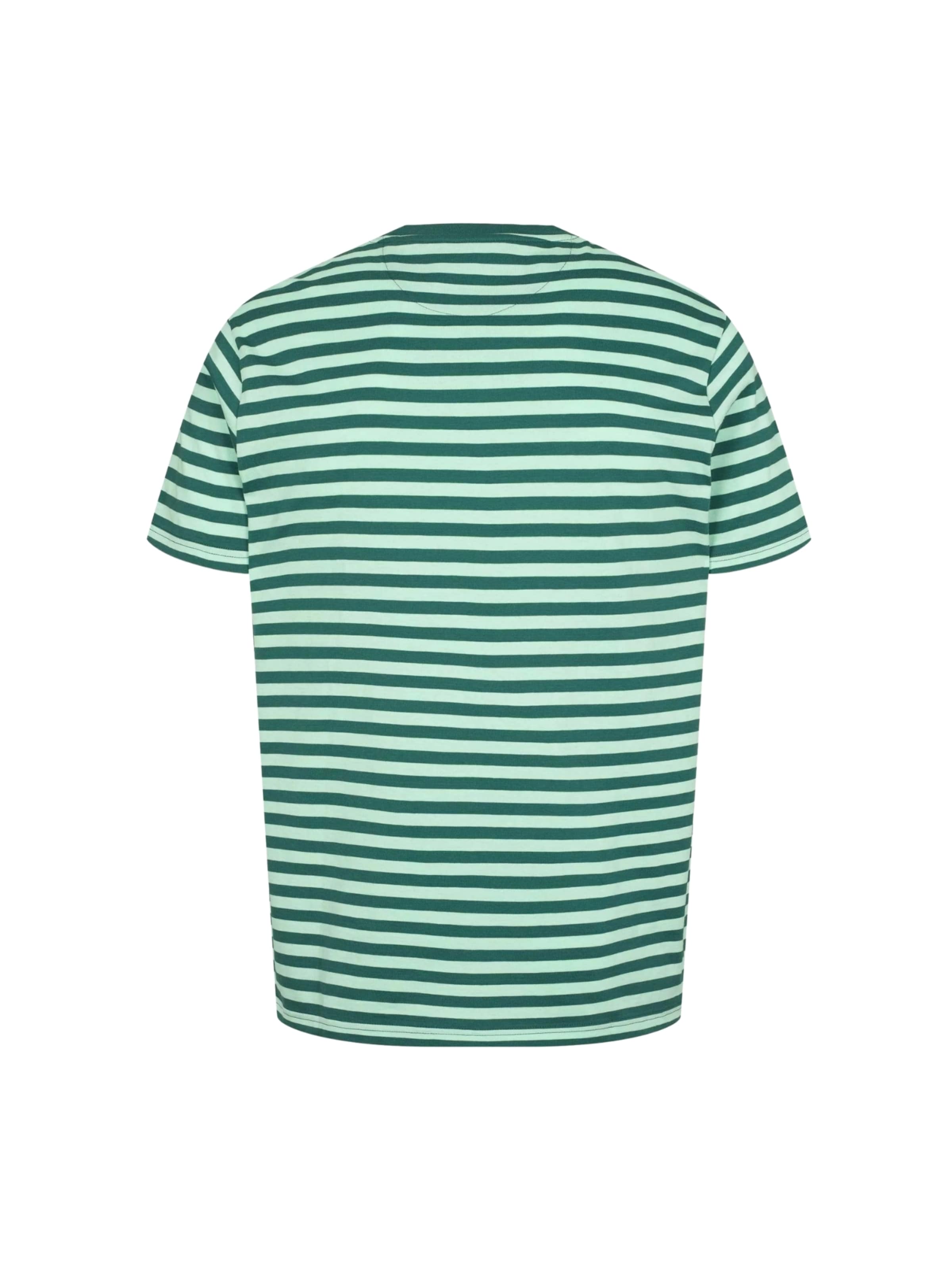 U.S. POLO ASSN. Regular Fit Skjorte ' Calle T-shirt ' i grøn