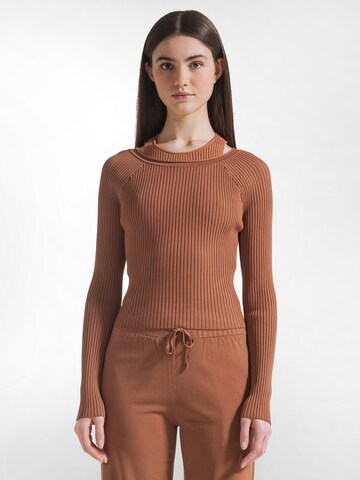 DEHA Trui in Bruin: voorkant