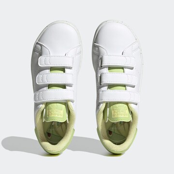 ADIDAS ORIGINALS Σνίκερ 'Tiana Stan Smith' σε λευκό