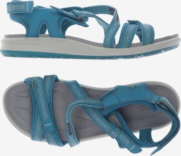 ECCO Sandals & High-Heeled Sandals in 39 in Blue: front