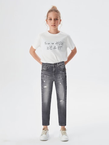 Skinny Jean 'Amy' LTB en gris