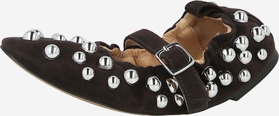 STEVE MADDEN Nauhaballerina 'Sunrays' värissä suklaa, Tuotenäkymä