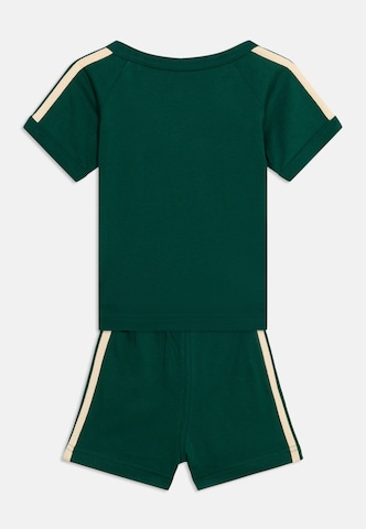 ADIDAS ORIGINALS Zestaw w kolorze zielony
