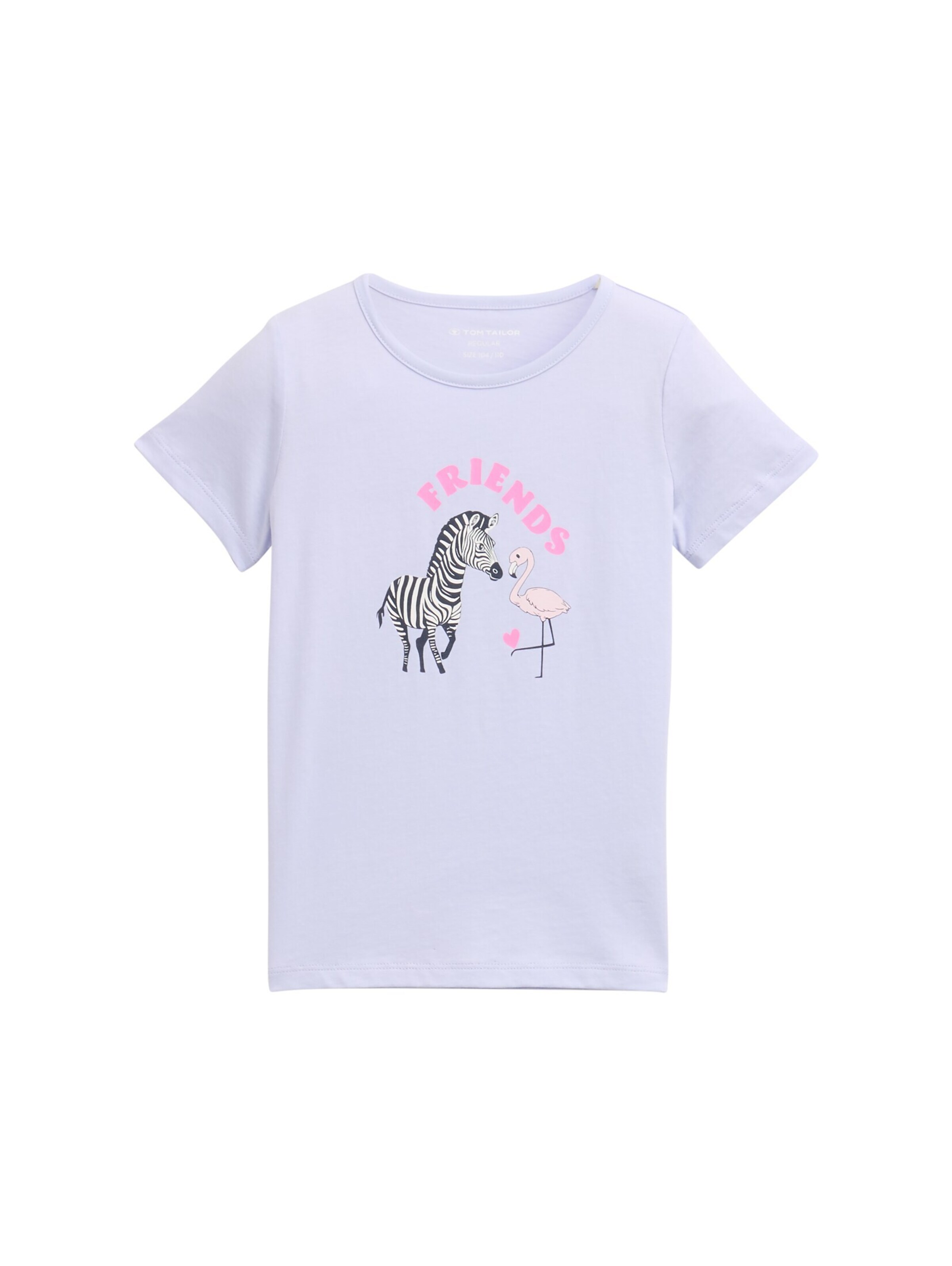 TOM TAILOR Jungen T-Shirt Mit Print – Aus Baumwolle, Regular Fit, Kurzärmlig Für Kids & Teens