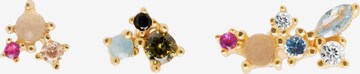 P D PAOLA Earrings 'La Palette' in Gold: front