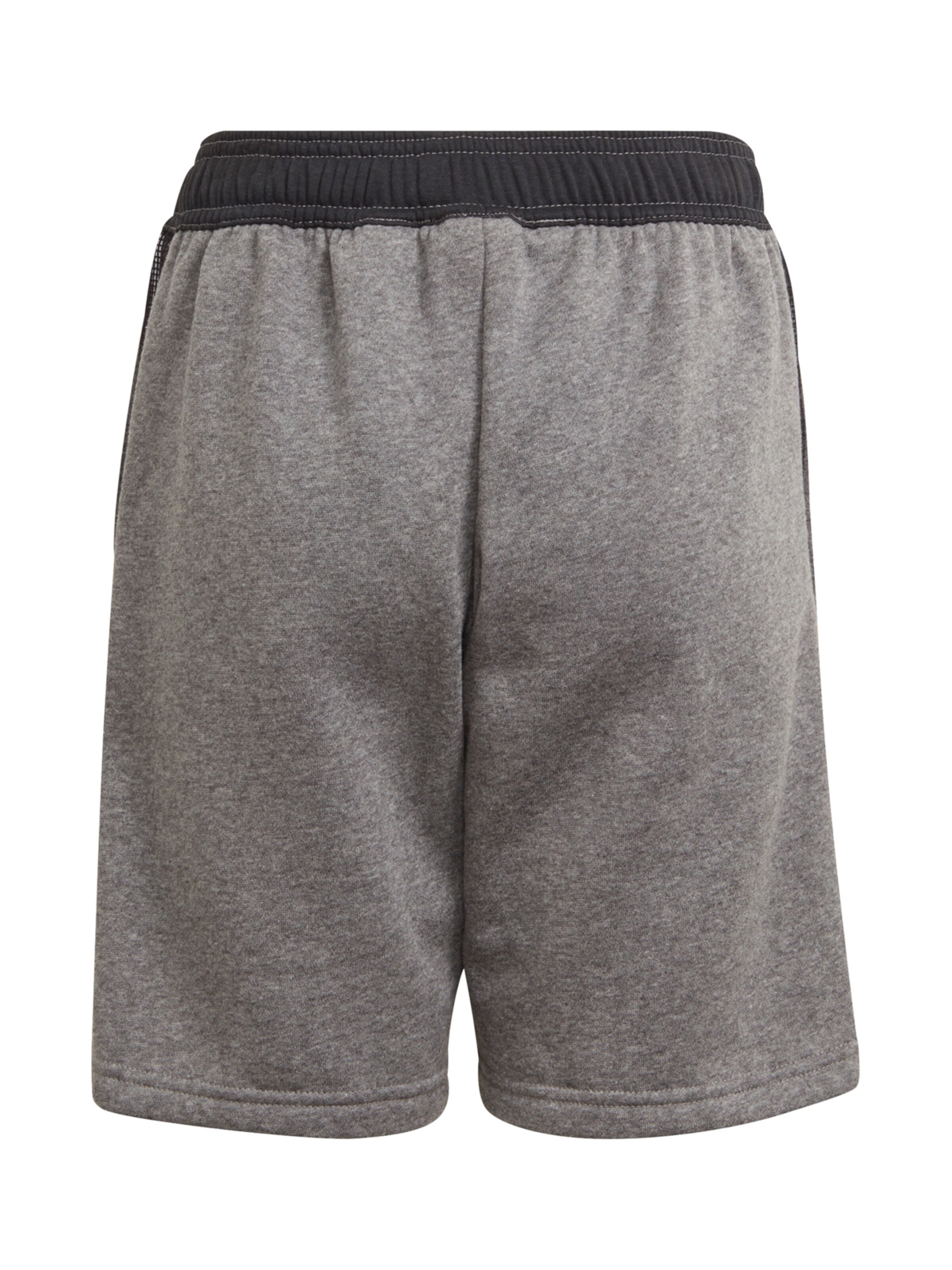 ADIDAS PERFORMANCE Regular Workout Pants 'Tiro 21' in Grey