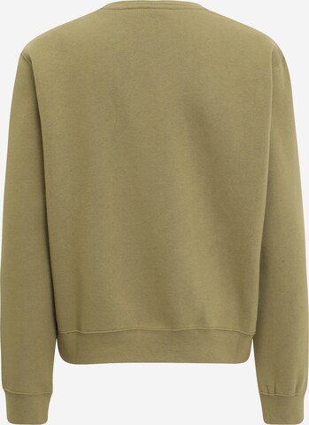 BJÖRN BORG Sports sweatshirt 'CENTRE' in Green