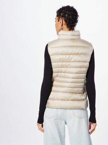 SAVE THE DUCK Bodywarmer 'LYNN' in Beige