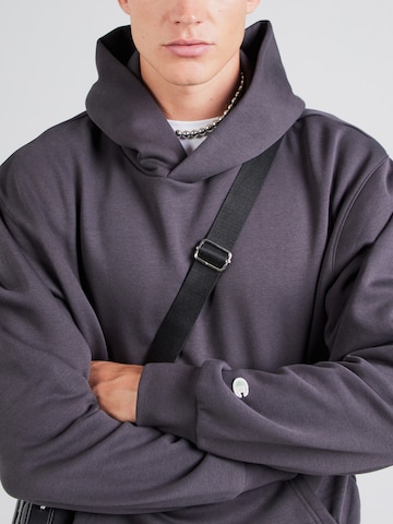 Champion Authentic Athletic Apparel Sweatshirt i grå