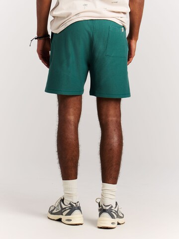 PROTEST Regular Pants 'PRTGraig' in Green