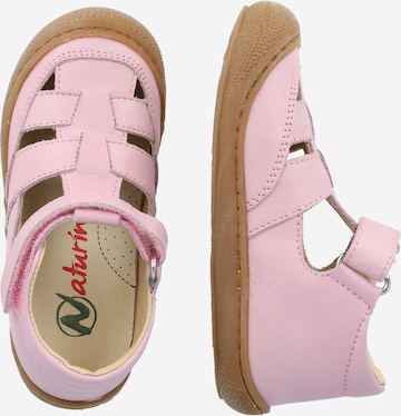 NATURINO Ανοικτά παπούτσια 'Wad' σε ροζ