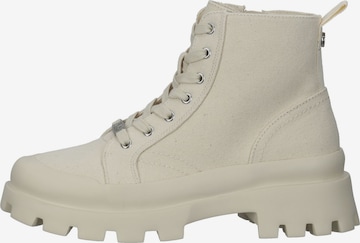 STEVE MADDEN Veterlaarsjes in Beige