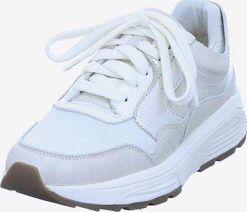 Xsensible Sneakers 'Golden Gate' in White: front