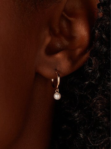 Lucardi Earrings in Gold: front
