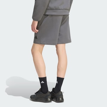 ADIDAS SPORTSWEAR Ohlapna forma Športne hlače 'Z.N.E.' | siva barva