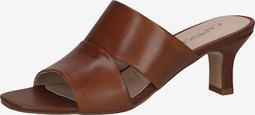 CAPRICE Mules in Brown: front