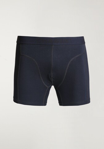 CHASIN' Boxer shorts 'Thrice Matz' in Green
