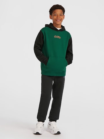 O'NEILL Sweatshirt in Grün