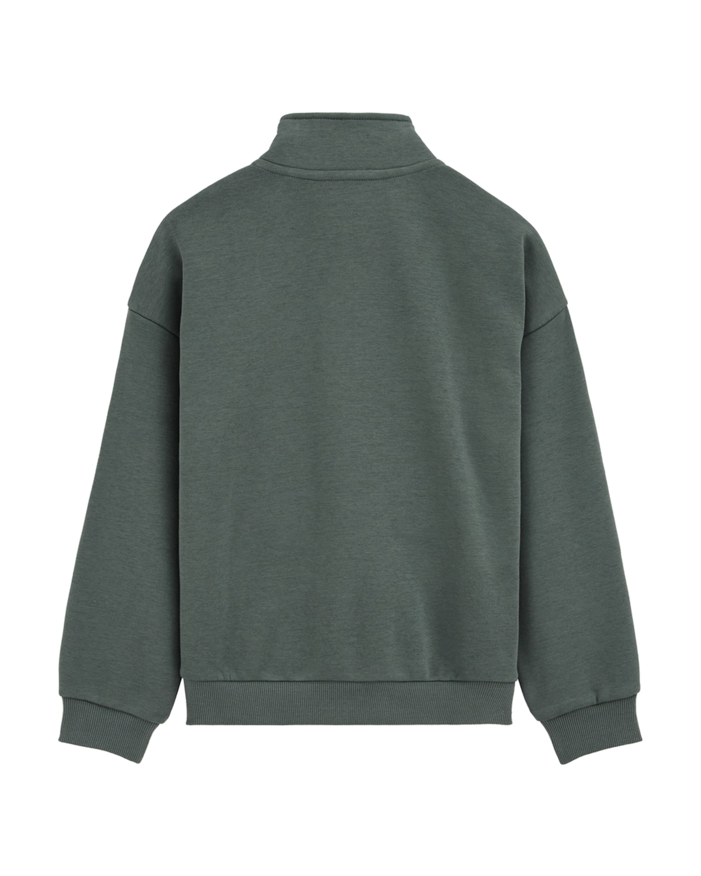 WE Fashion Свитшот в Зеленый