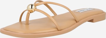 STEVE MADDEN Varvastossut 'Bermuda' värissä beige: etupuoli