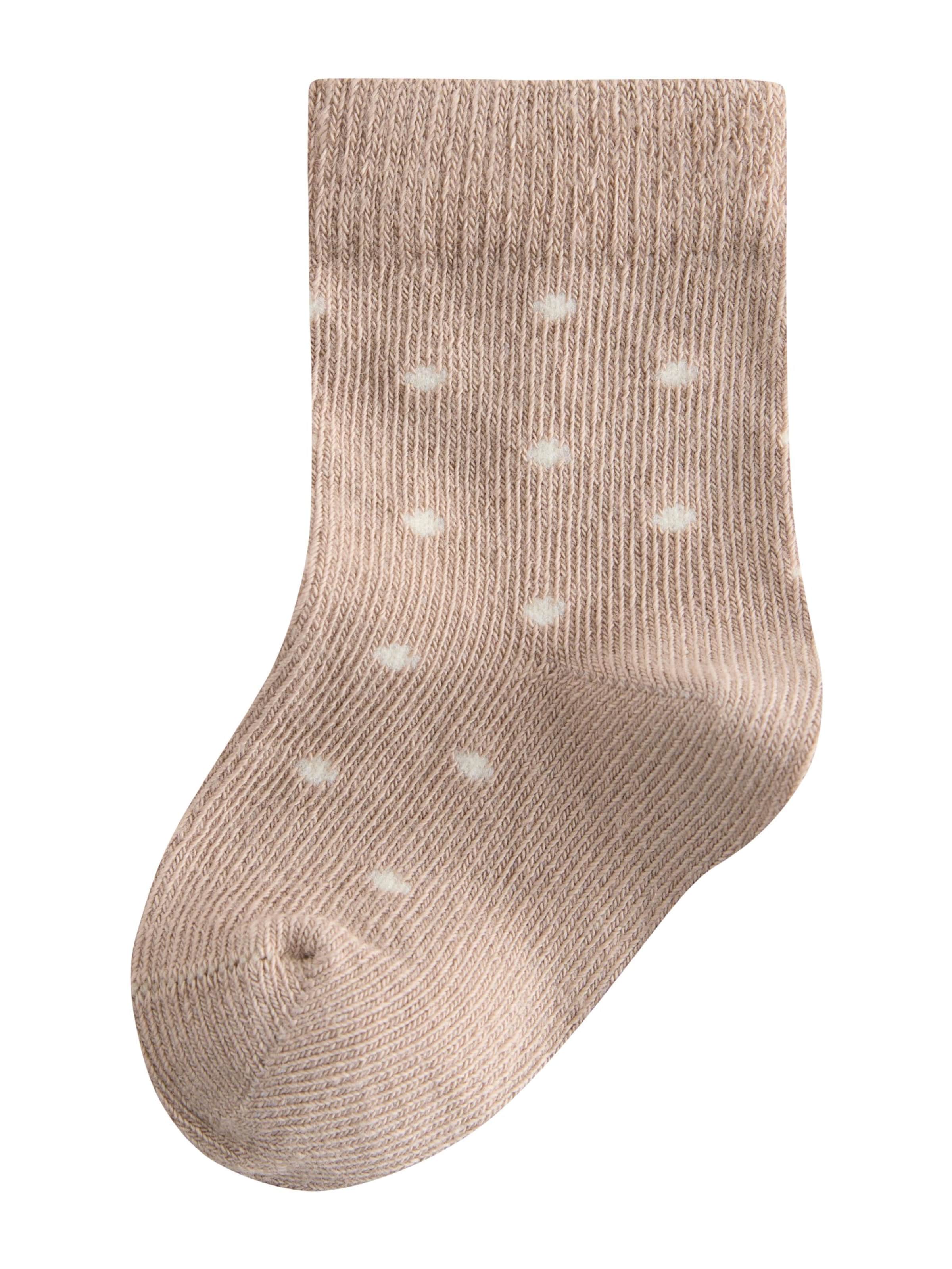 Next Socks in Mixed colours