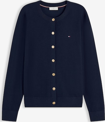 TOMMY HILFIGER Вязаная кофта 'Fine' в Синий: спереди
