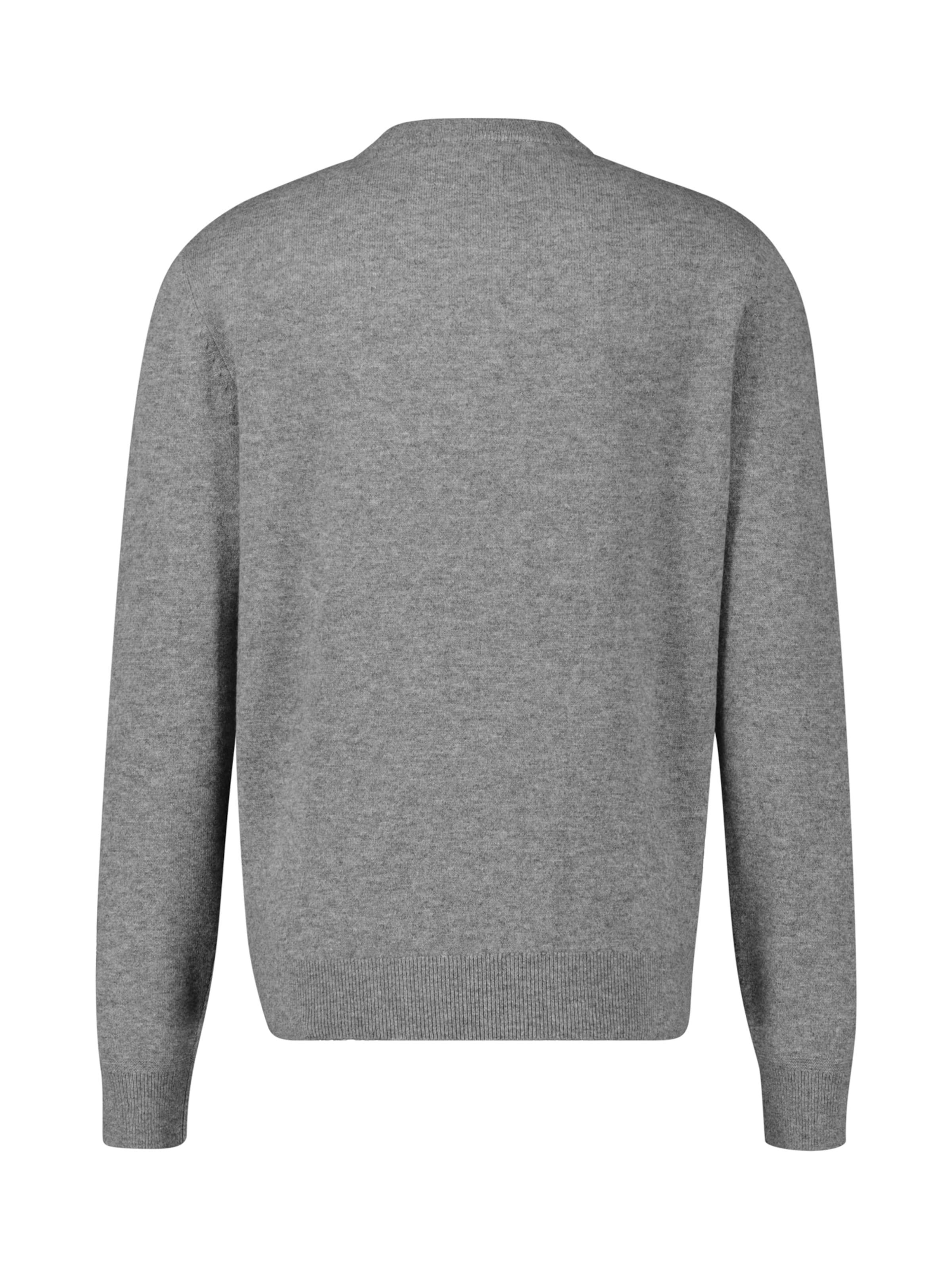 LERROS Trui in Grijs