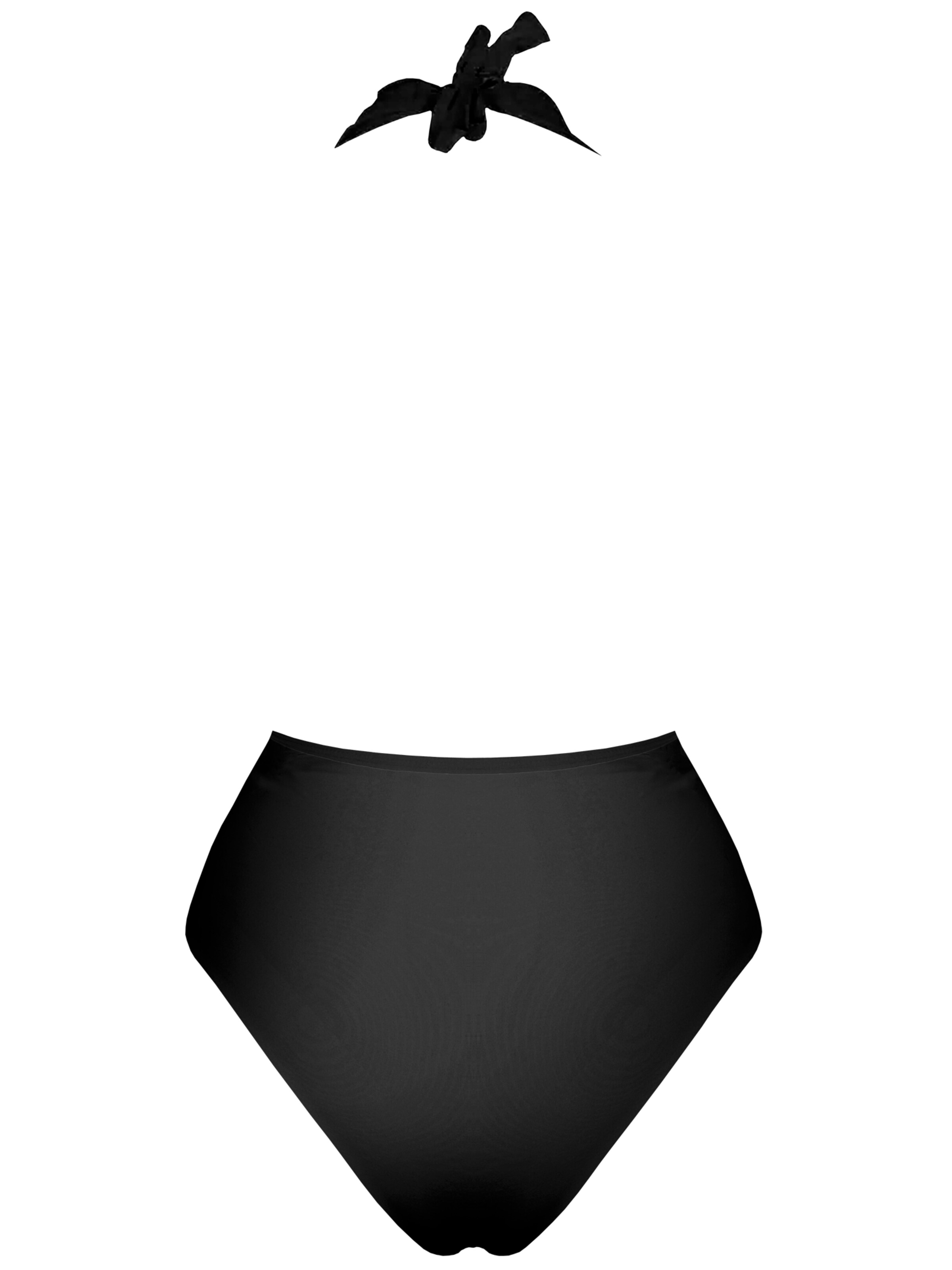 SEA ME SWIM High neck Badeanzug 'ST. TROPEZ Silver Edition'‌‌‌‌‌ in Schwarz