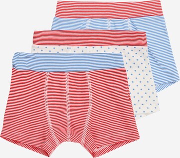 PETIT BATEAU Underpants in Mixed colors: front