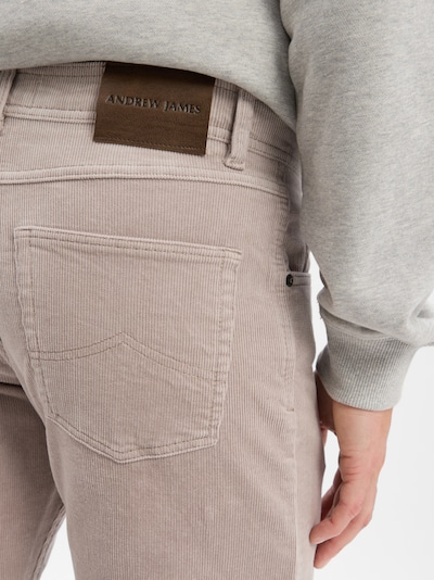 Nils Sundström Pants 'Aiden' in Light grey, Item view