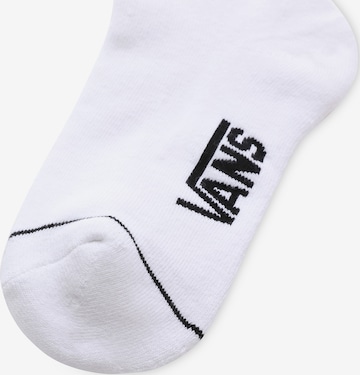 VANS Socks in White