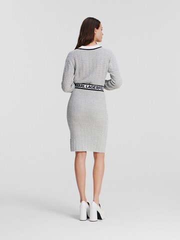 Karl Lagerfeld Skirt in Grey