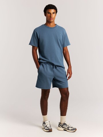 PROTEST Regular Pants 'PRTGalvan' in Blue