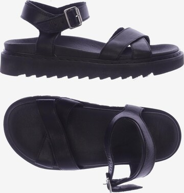 Apple of Eden Sandals & High-Heeled Sandals in 37 in Black: front