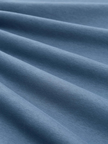 TOM TAILOR DENIM Sweatshirt in Blue