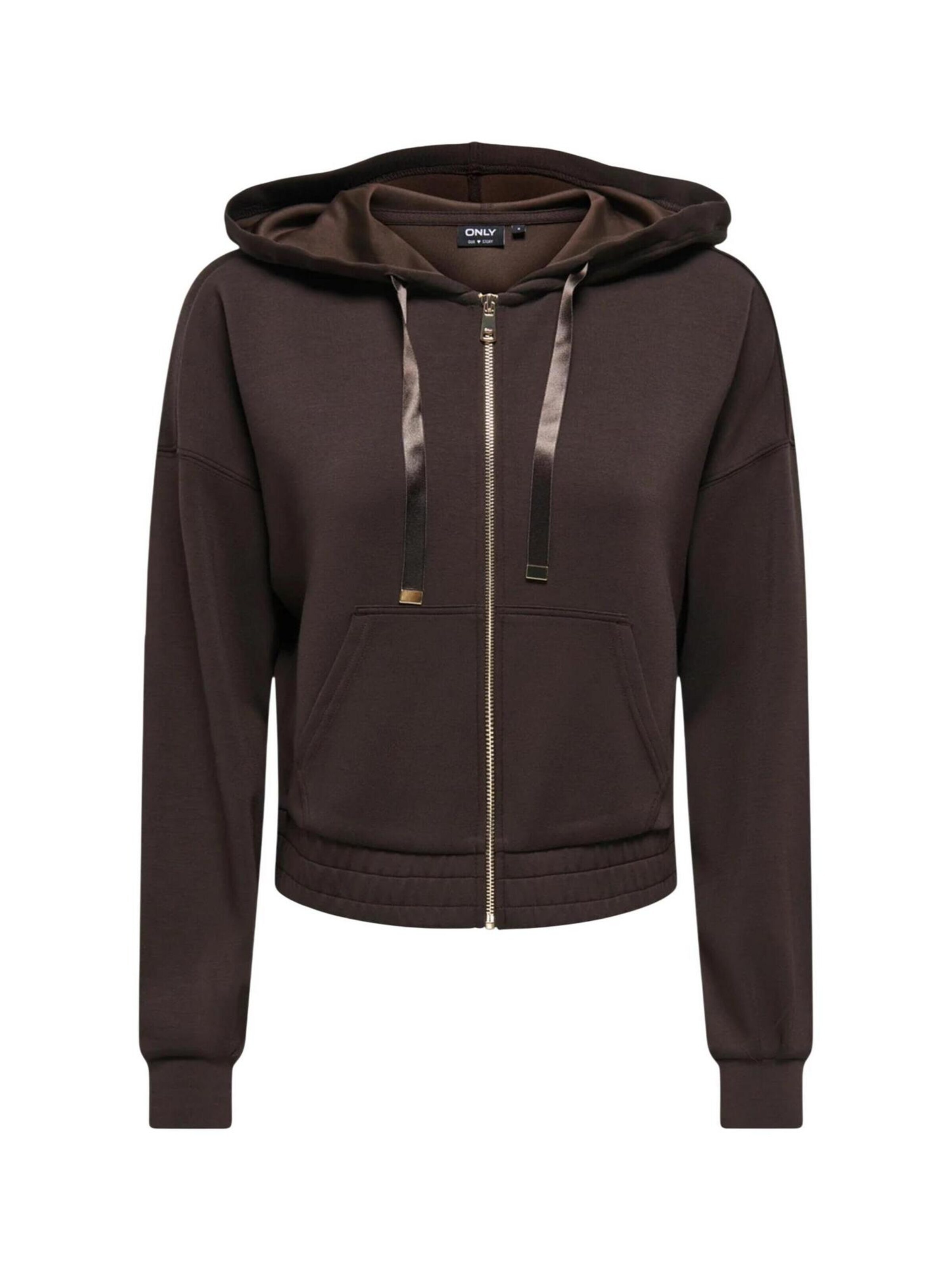 Giacca di felpa 'Onlmyra L/S Hoodie Ub Swt 15380272' di ONLY in marrone: frontale