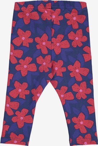 Fred's World by GREEN COTTON Regular Leggings 'Pow' in Blue