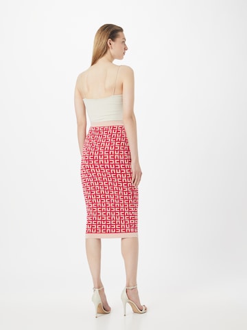 Elisabetta Franchi Skirt in Pink