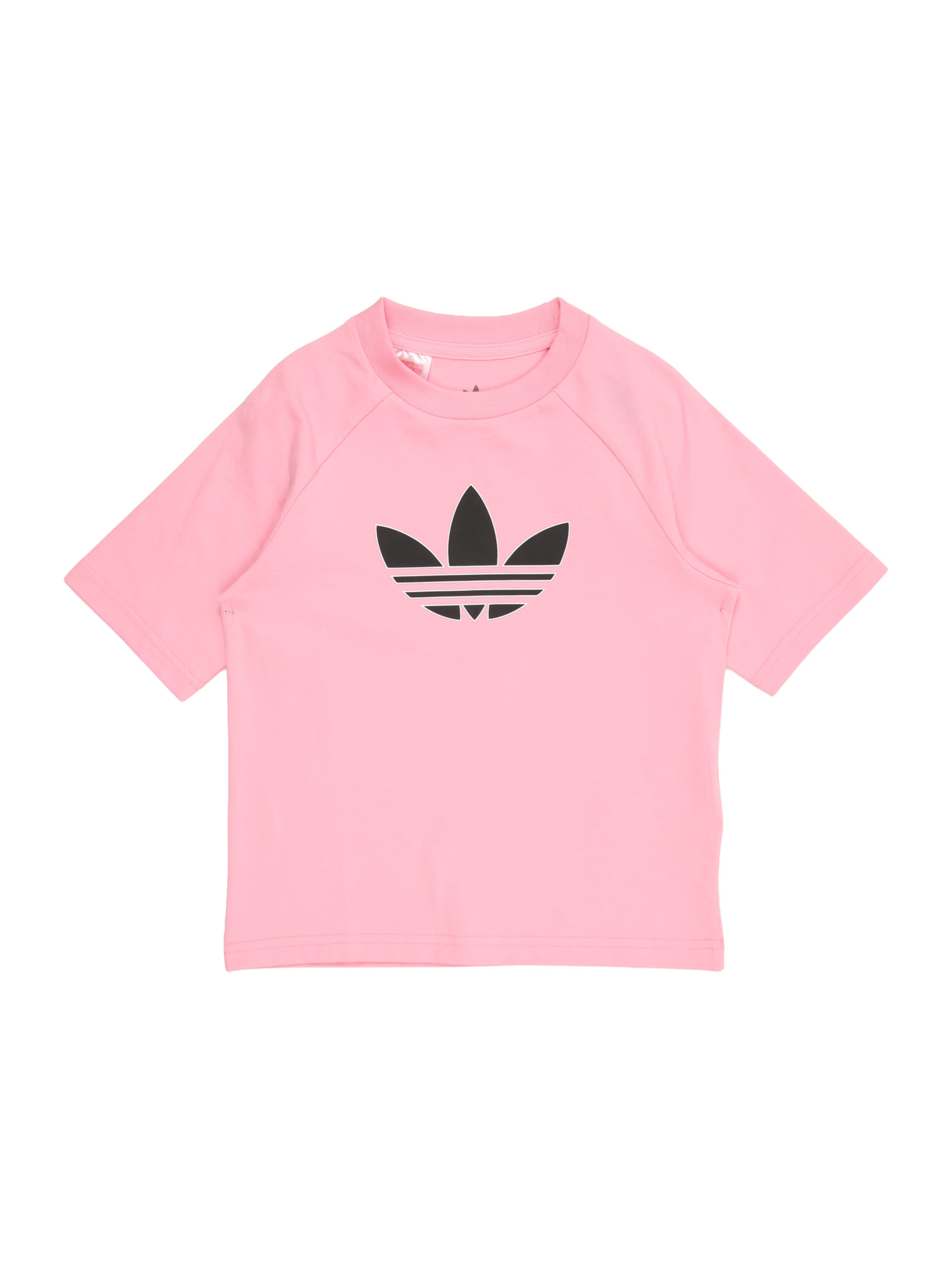 Maglietta di ADIDAS ORIGINALS in rosa: frontale