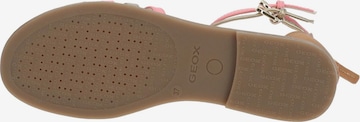 GEOX Sandals in Beige