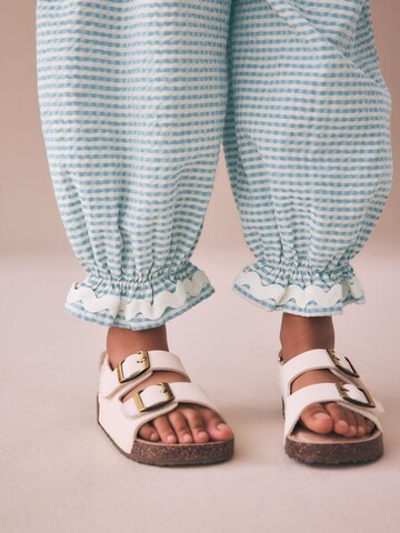 Next Tapered Hose in Blau