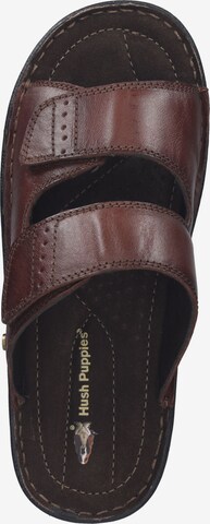 HUSH PUPPIES Mules in Brown