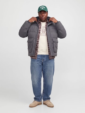 JACK & JONES Winterjas in Grijs