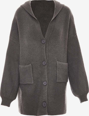 Tanuna Knit Cardigan in Grey: front