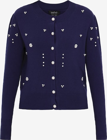 usha BLACK LABEL - Cárdigan en azul: frente