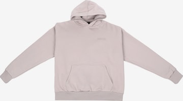Dropsize Sweatshirt in Grey: front