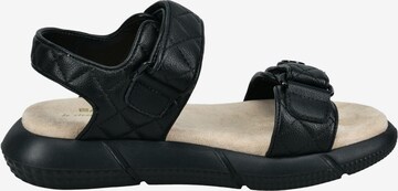 TT. BAGATT Sandals in Black