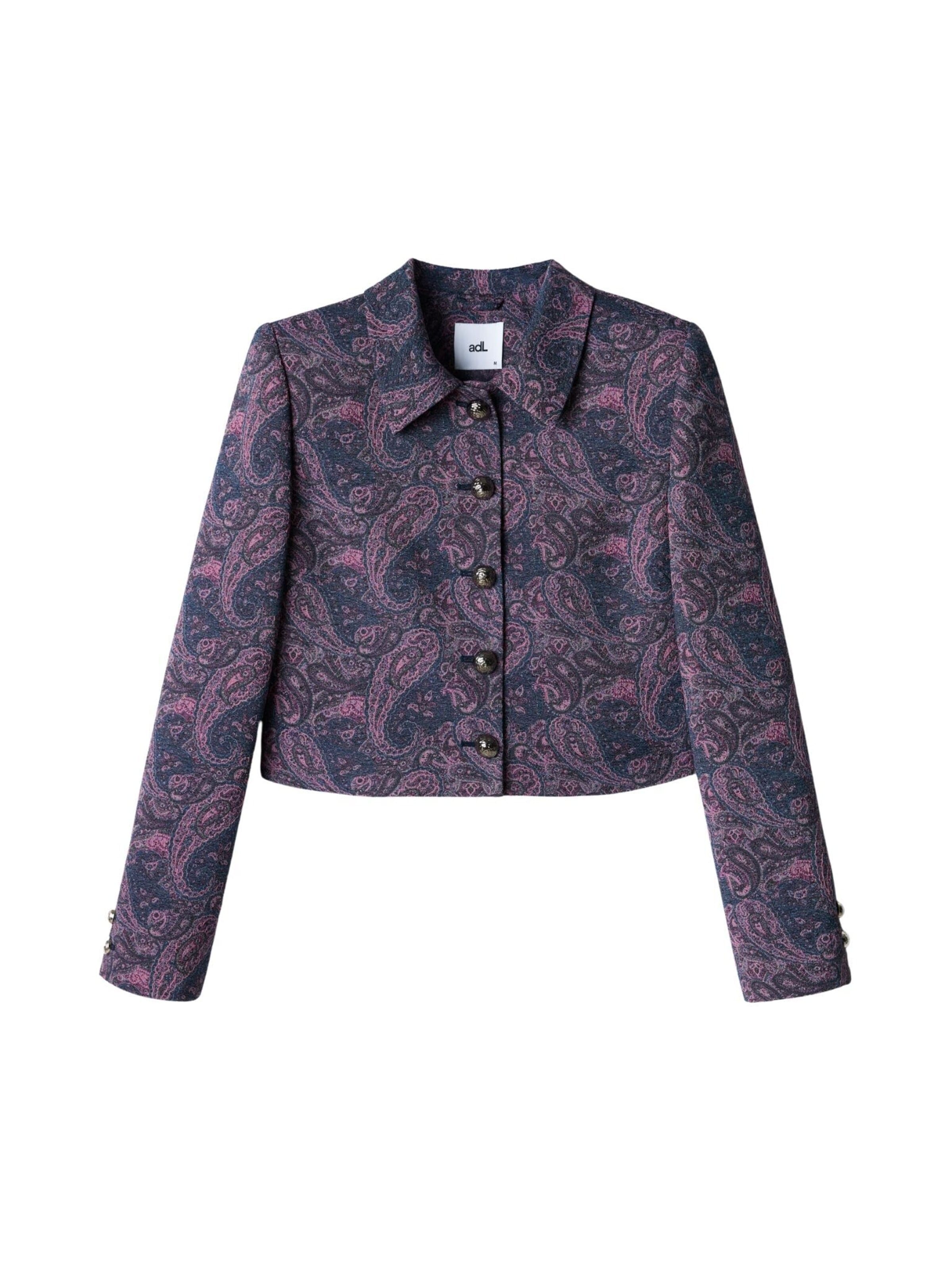 adl Blazer in Pink: front